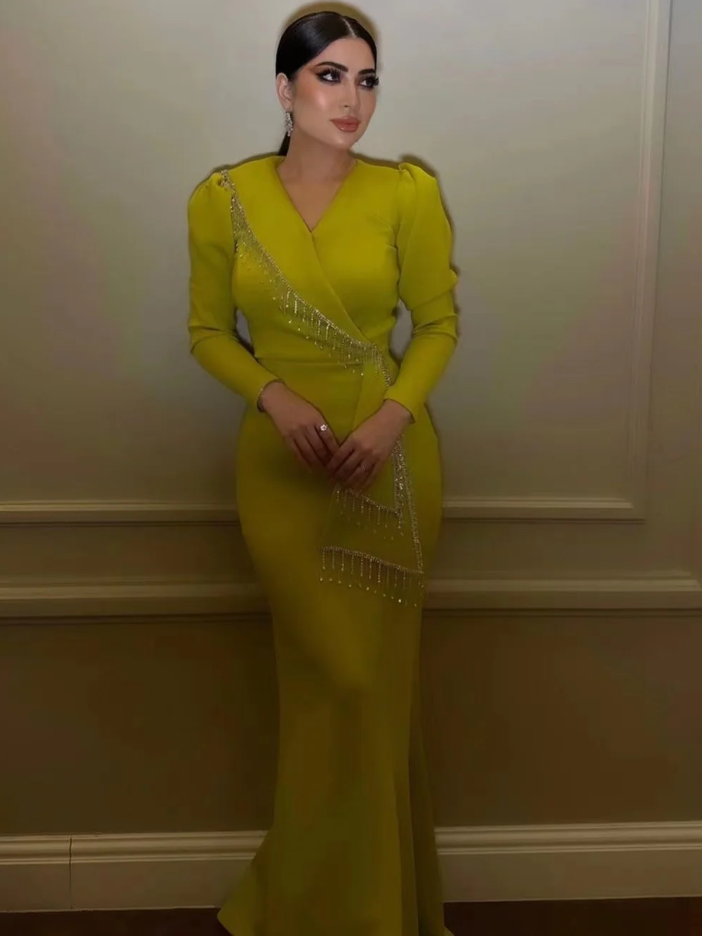 Oisslec Long Sleeves Evening D - Vintage Women'S Formal Wear 评论和价格