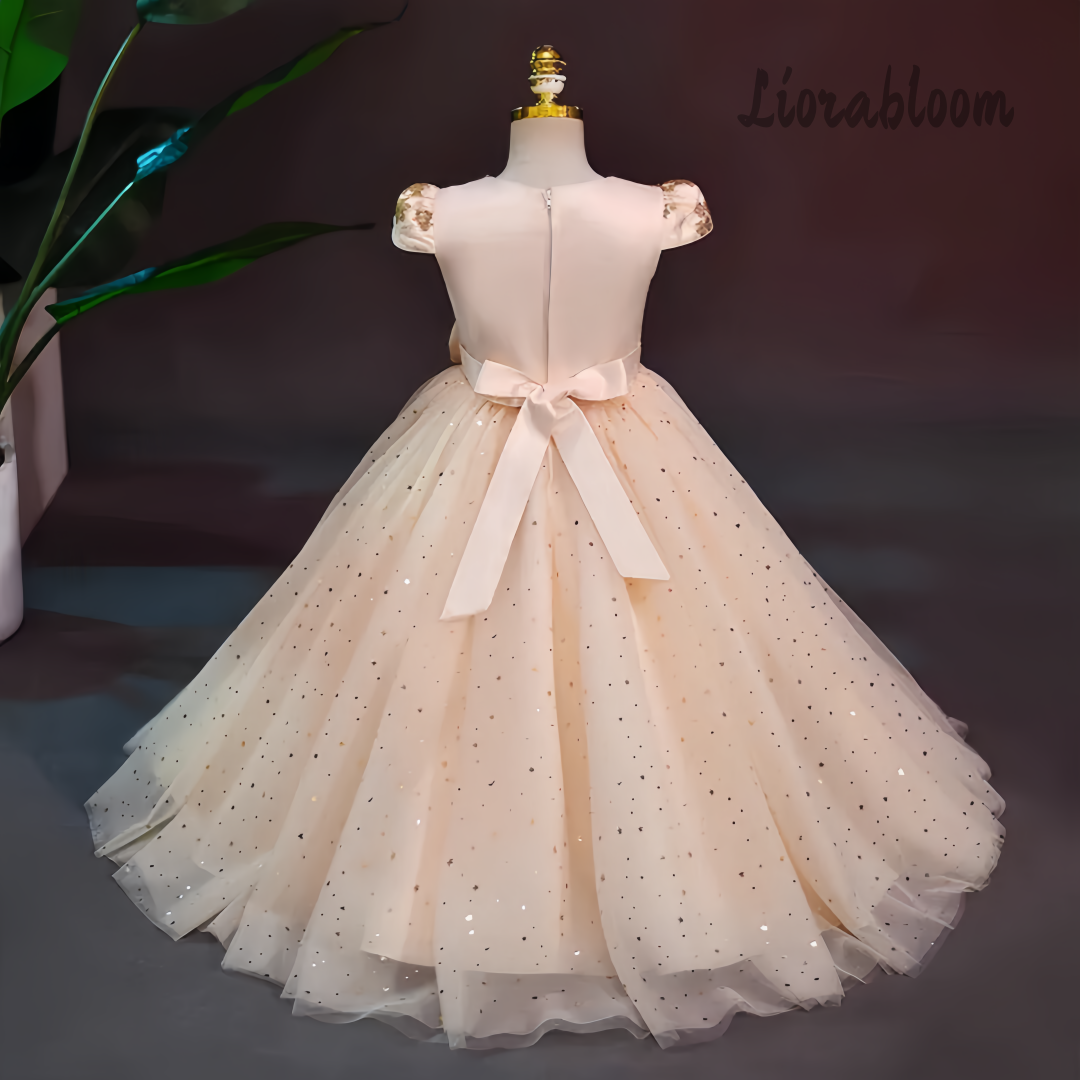 Formal Multicolor Evening Gown - Formal Wear Women Us 评论和价格