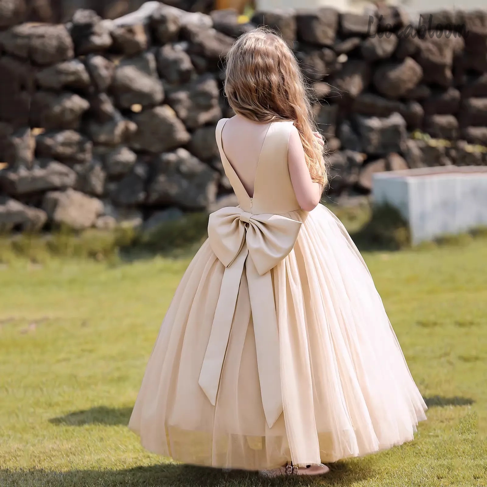 Multicolor Backless Princess D - Formal Wear Women Us 评论和价格